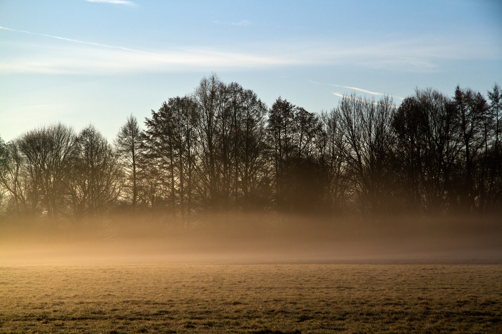 Morgennebel