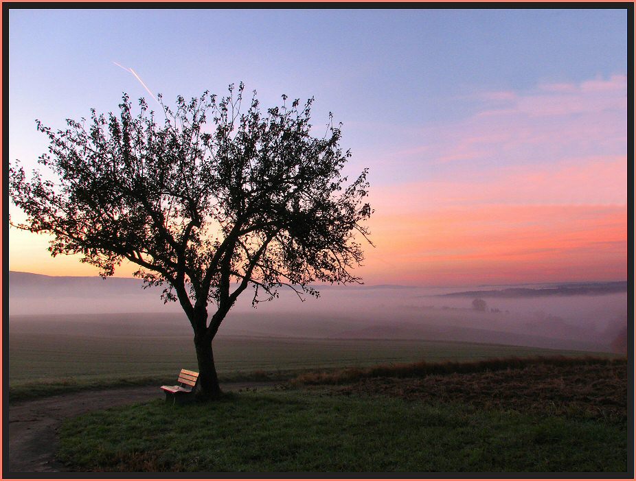 Morgennebel