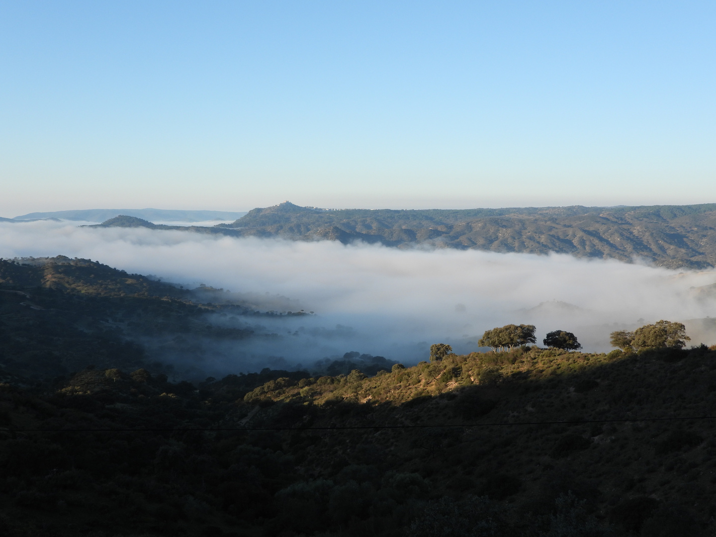 Morgennebel