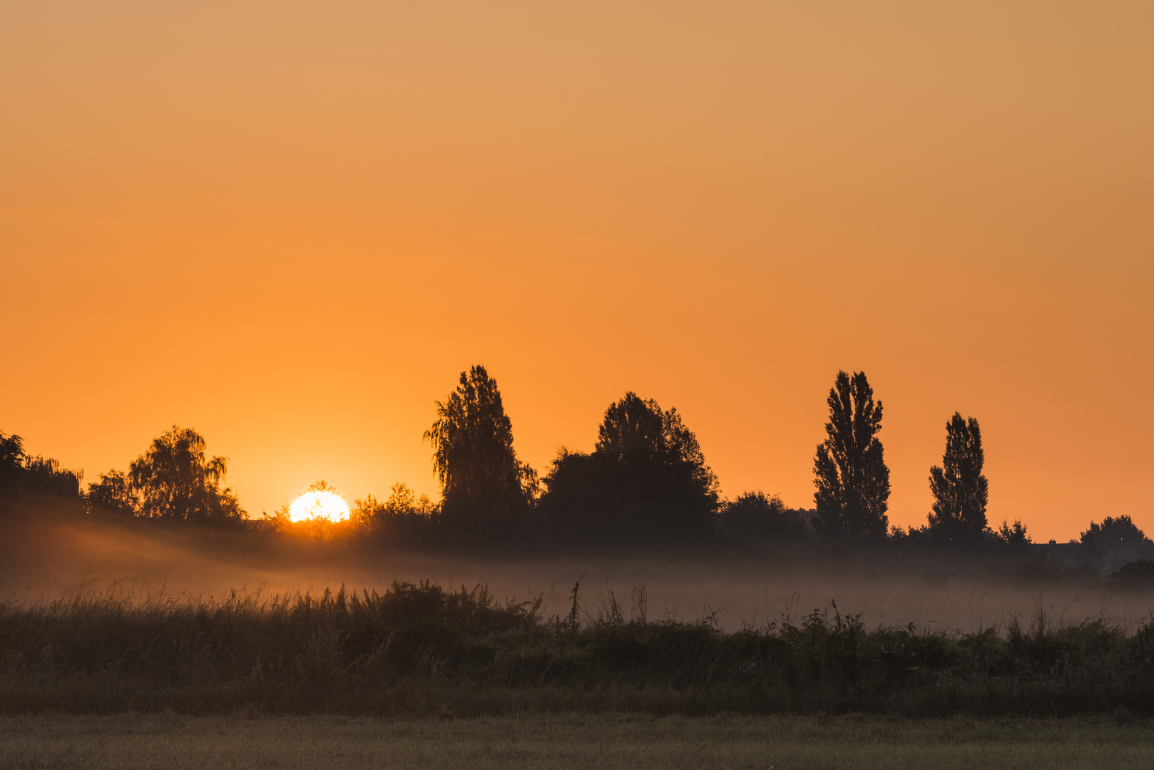 Morgennebel