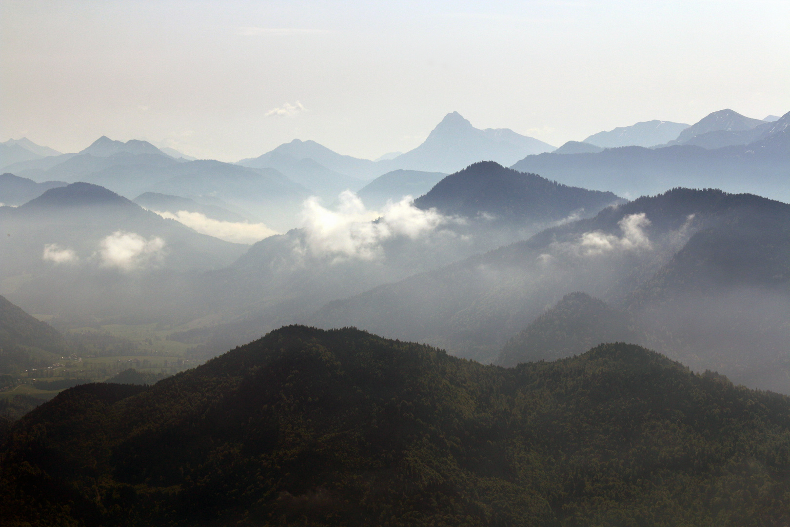 Morgennebel