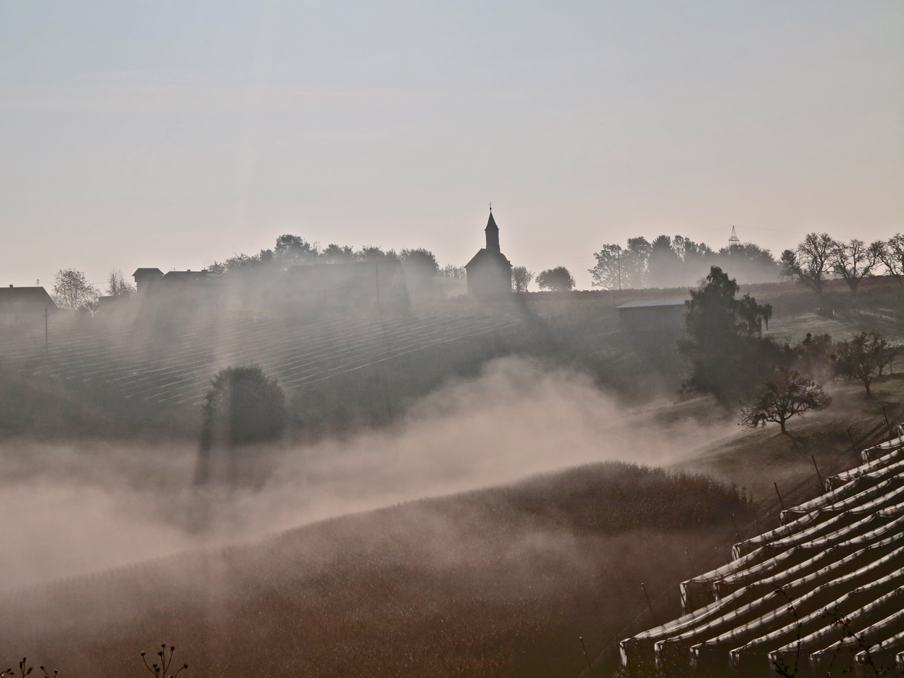 Morgennebel