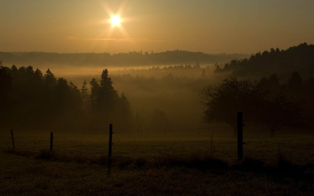 Morgennebel