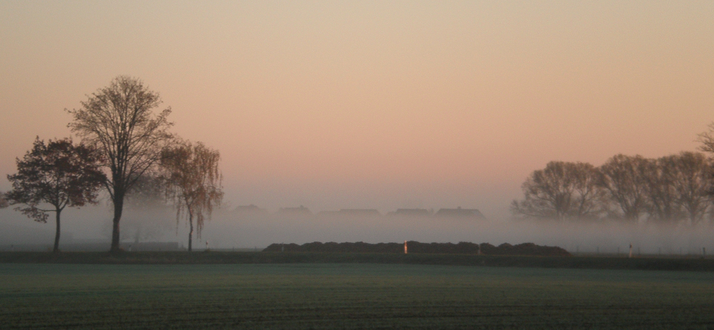 Morgennebel