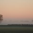 Morgennebel