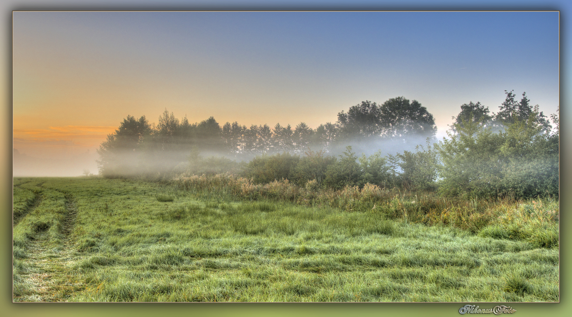 Morgennebel