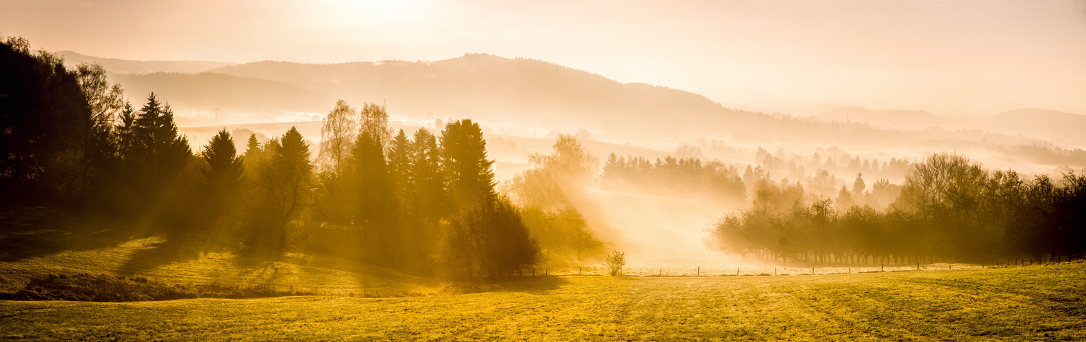 Morgennebel