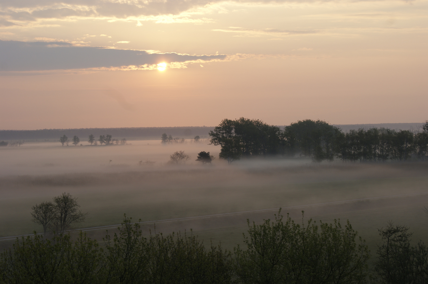 Morgennebel