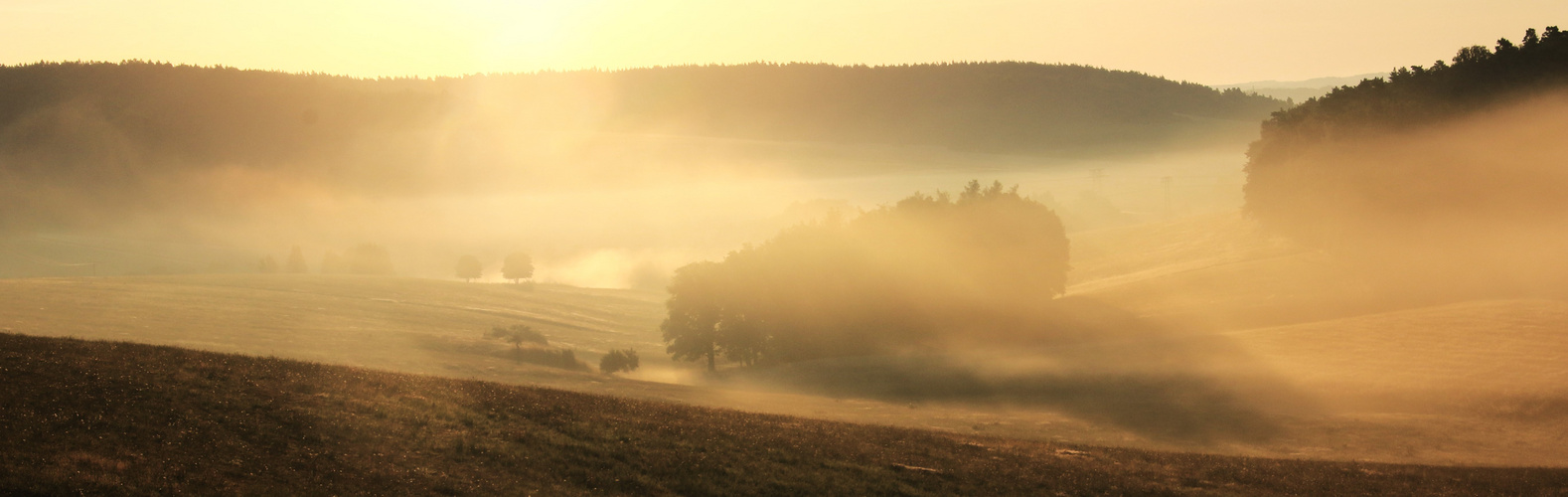 Morgennebel