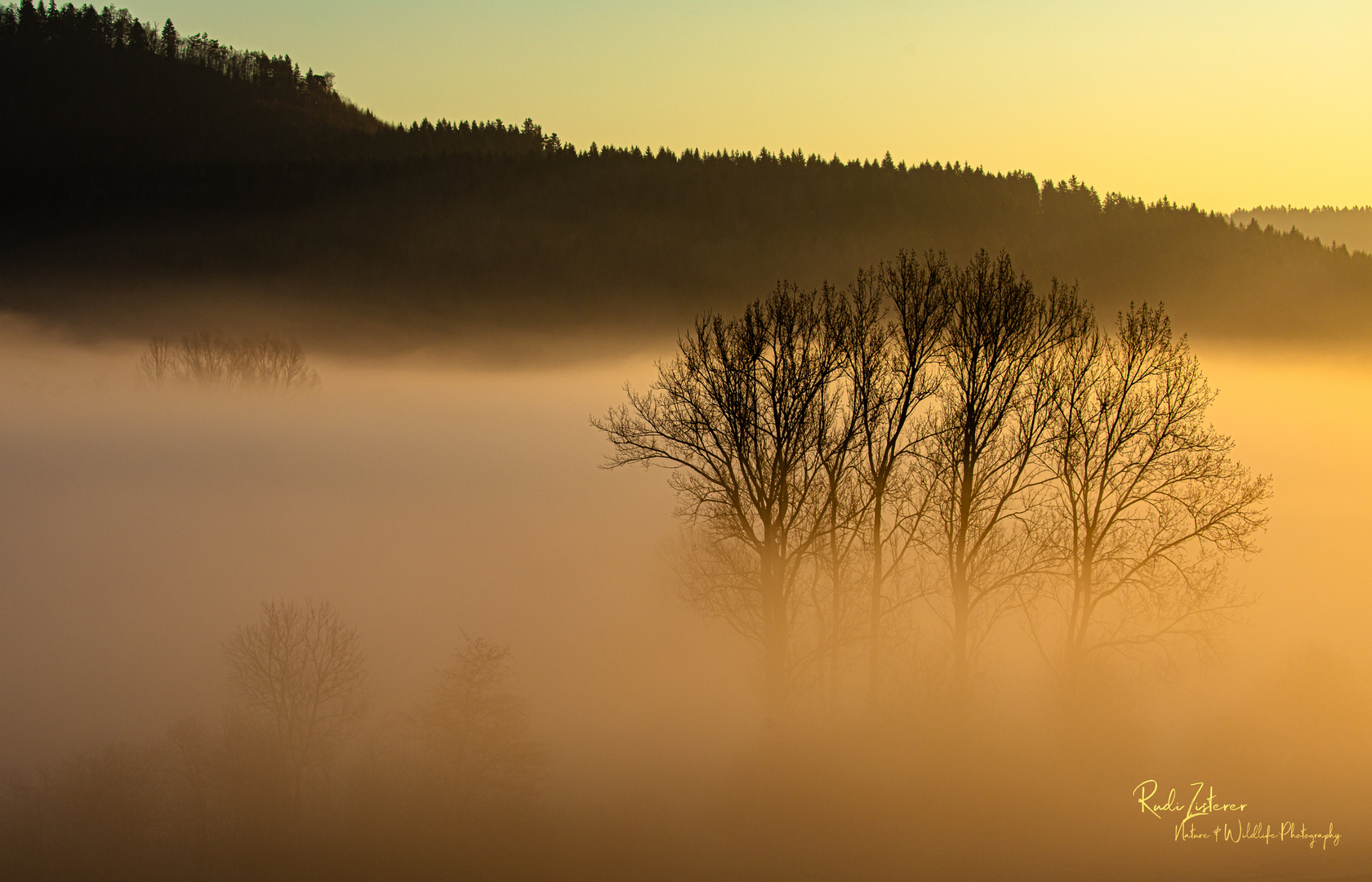 Morgennebel