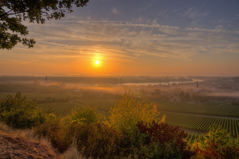 Morgennebel