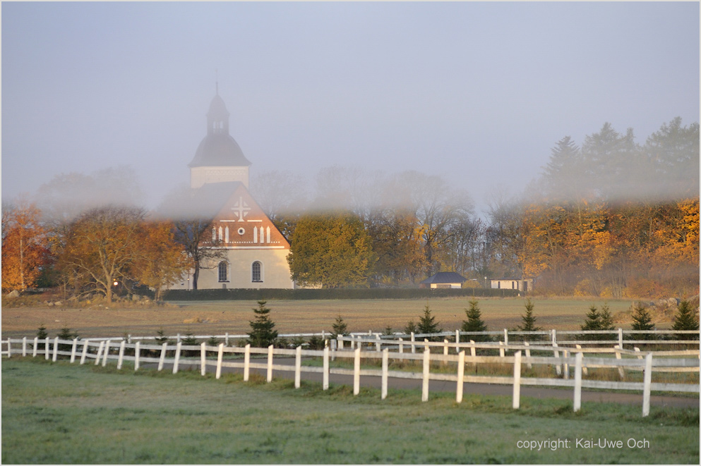 Morgennebel