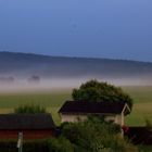 Morgennebel