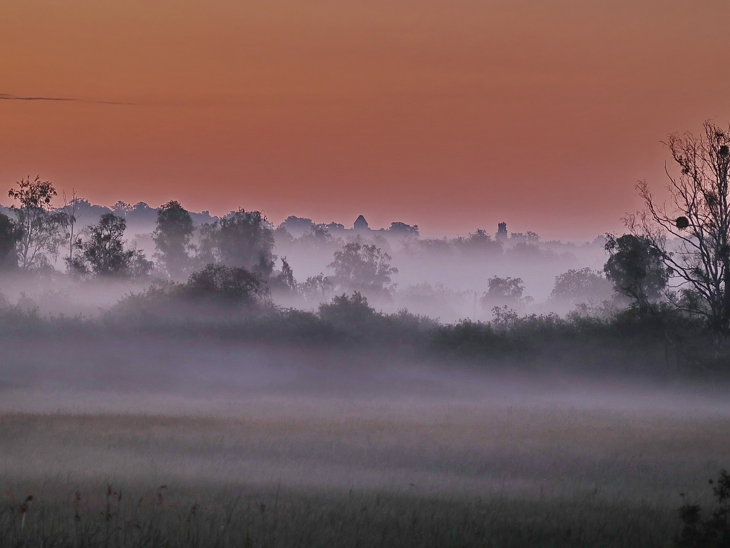 Morgennebel