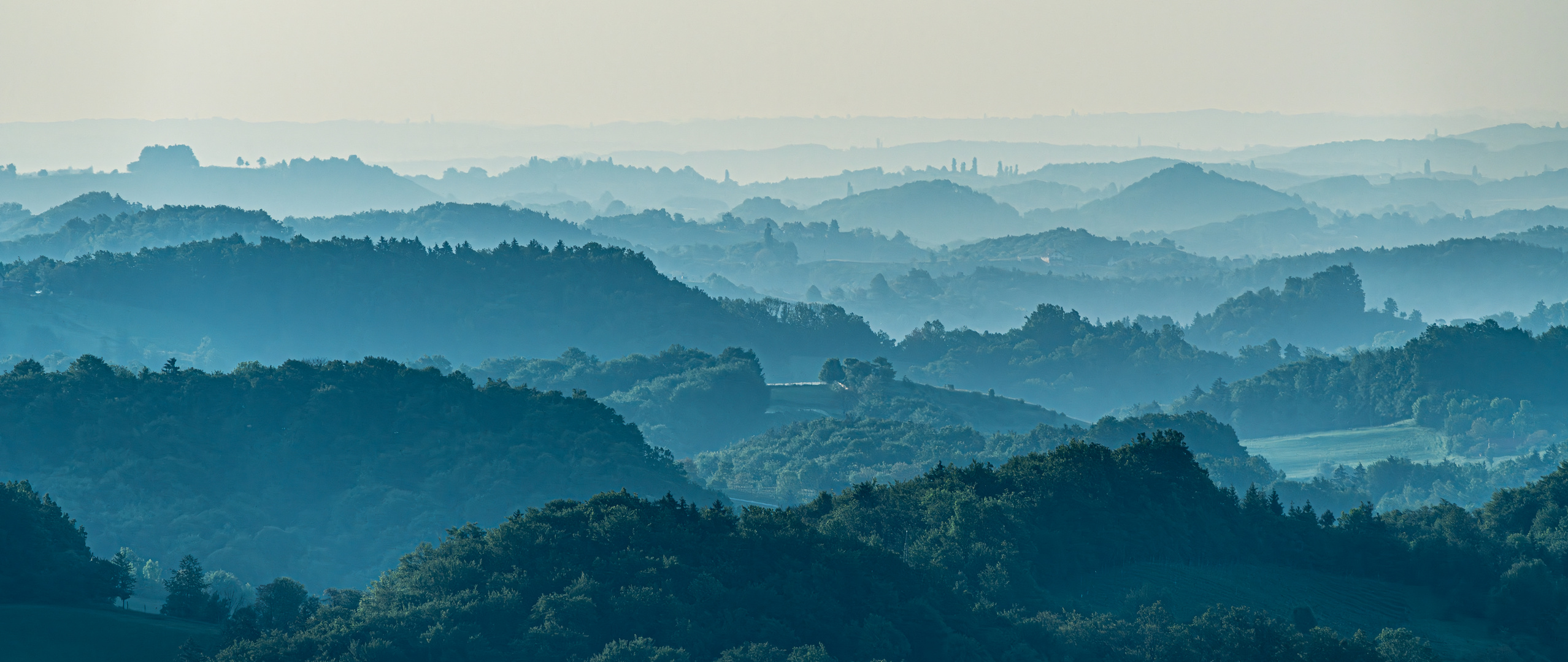 Morgennebel