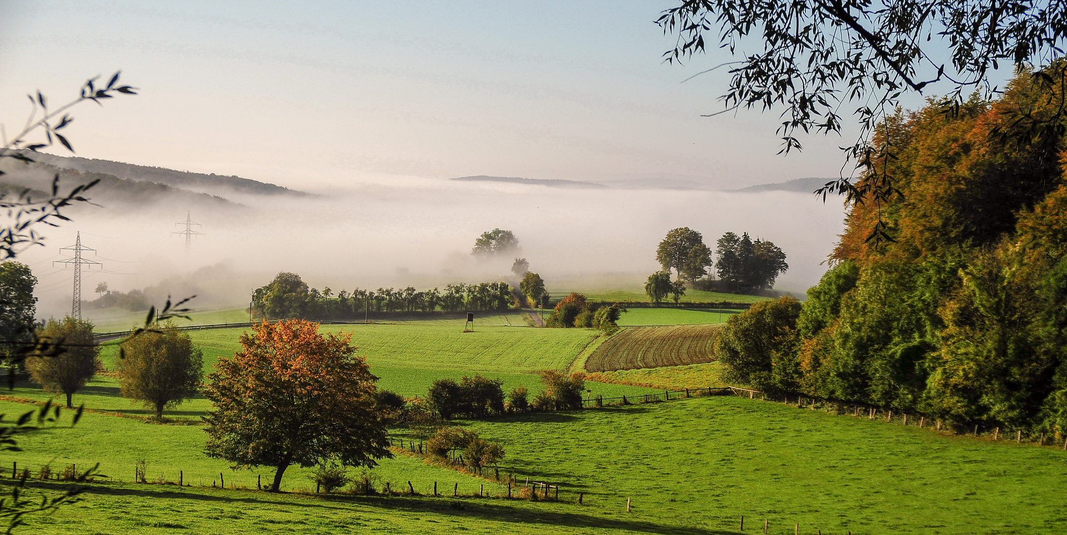 Morgennebel