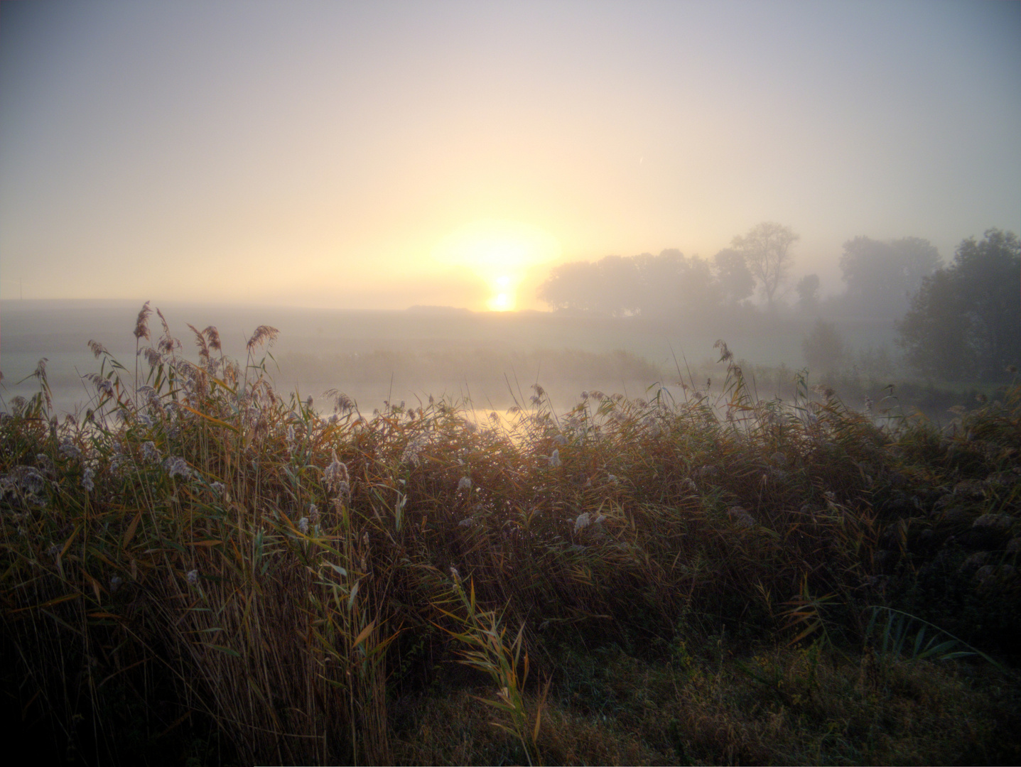 Morgennebel