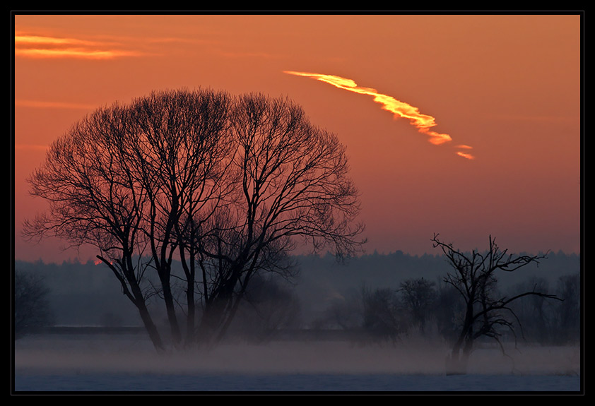 Morgennebel