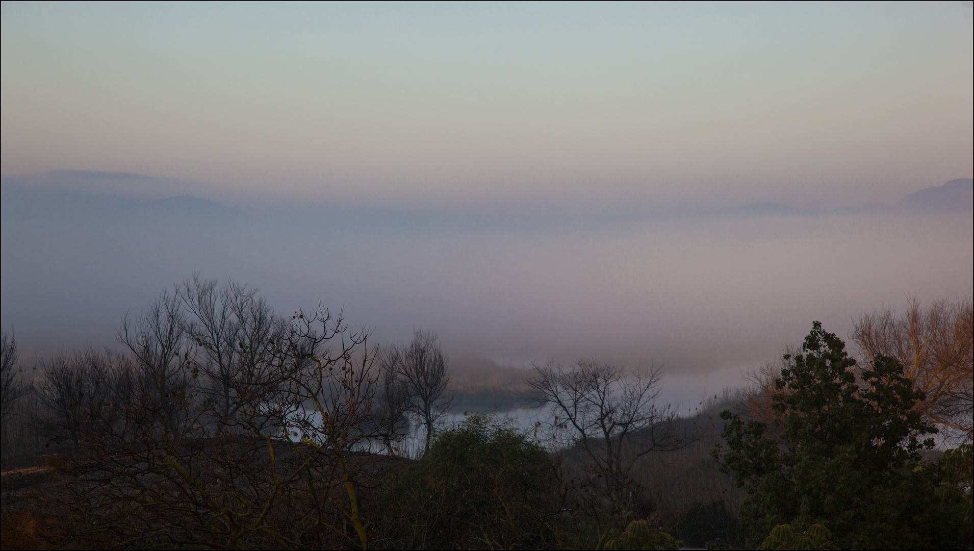 Morgennebel