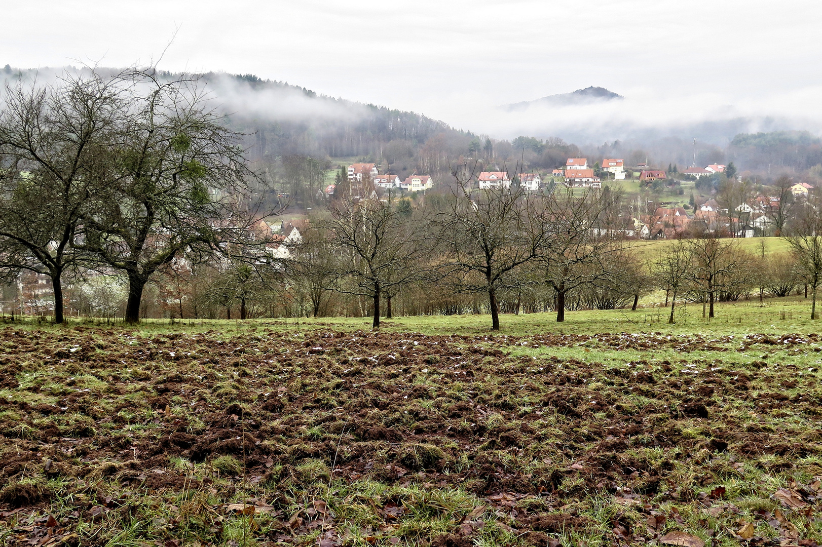 Morgennebel am 24.1.16 über Erlenbach( Krs. Südwestpfalz)