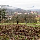 Morgennebel am 24.1.16 über Erlenbach( Krs. Südwestpfalz)