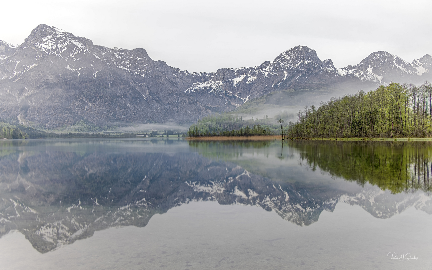 Morgennebel am Almsee