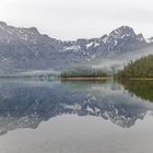 Morgennebel am Almsee