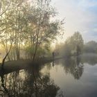 Morgennebel am Angelweiher