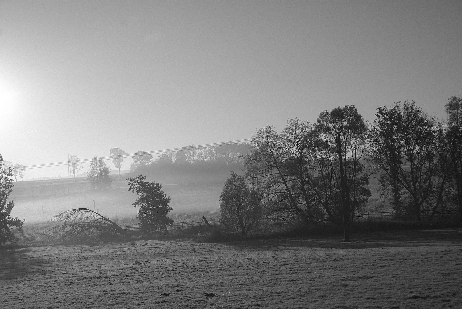 Morgennebel am Bachlauf