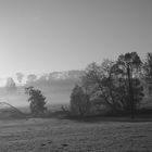 Morgennebel am Bachlauf