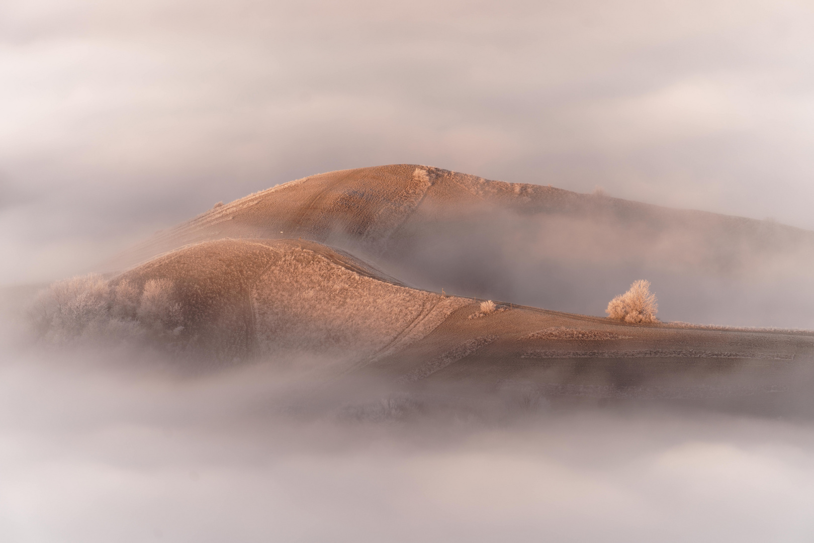 Morgennebel am Badberg.