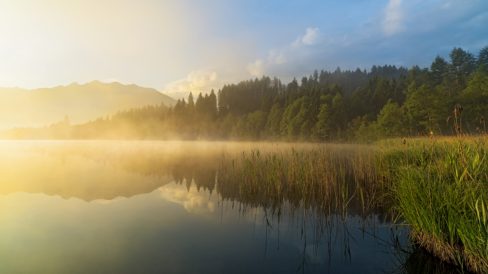 Morgennebel am Barmsee