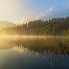 Morgennebel am Barmsee