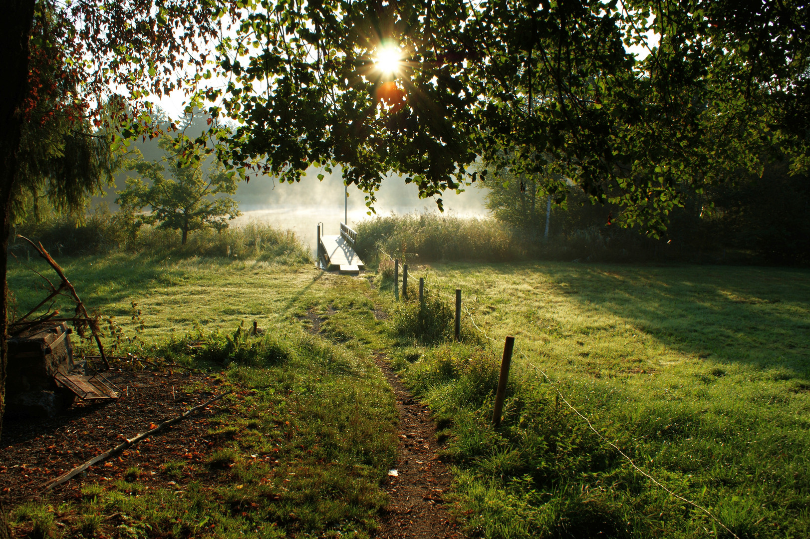 Morgennebel am Blausee