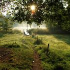 Morgennebel am Blausee