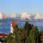 Morgennebel am Bodensee