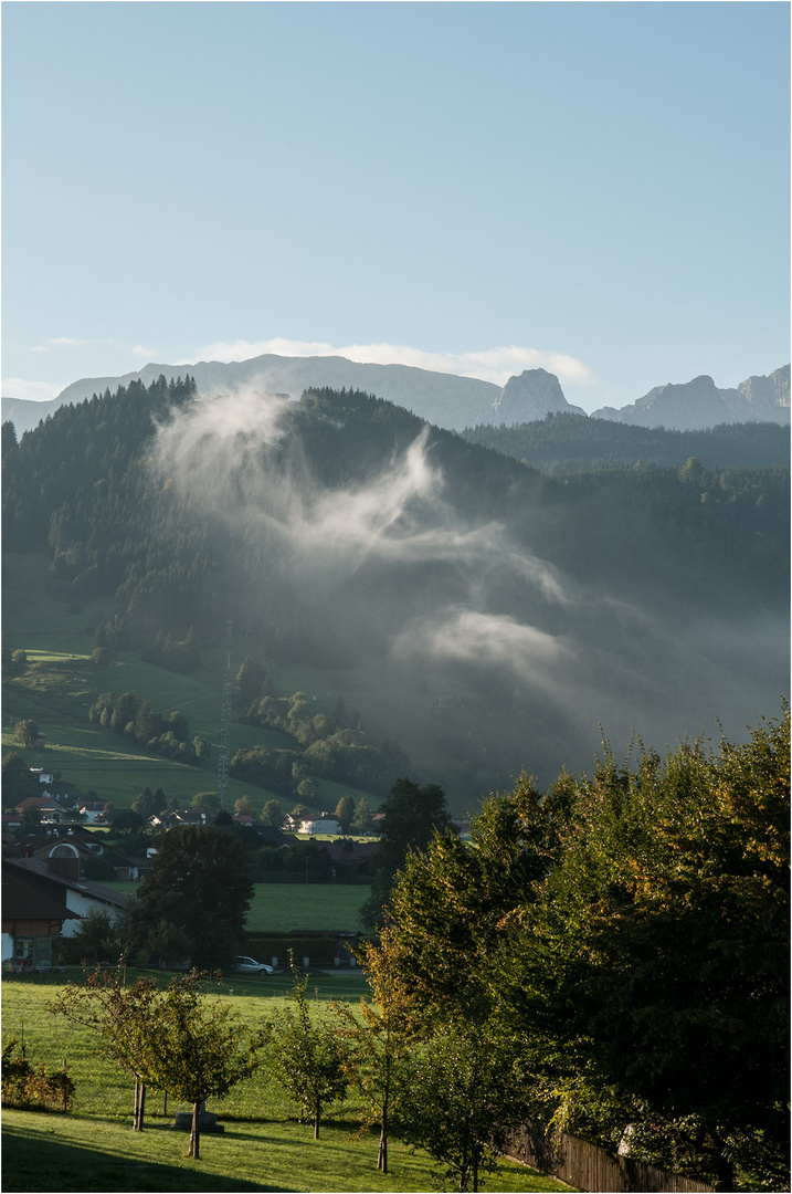 Morgennebel am Buchenberg ...