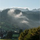 Morgennebel am Buchenberg ...