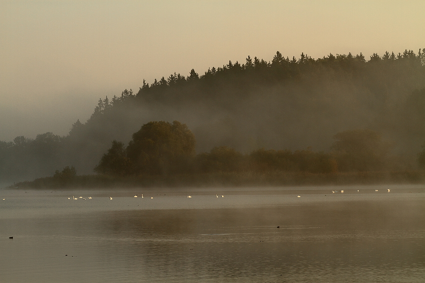 Morgennebel am Chiemsee