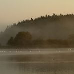 Morgennebel am Chiemsee