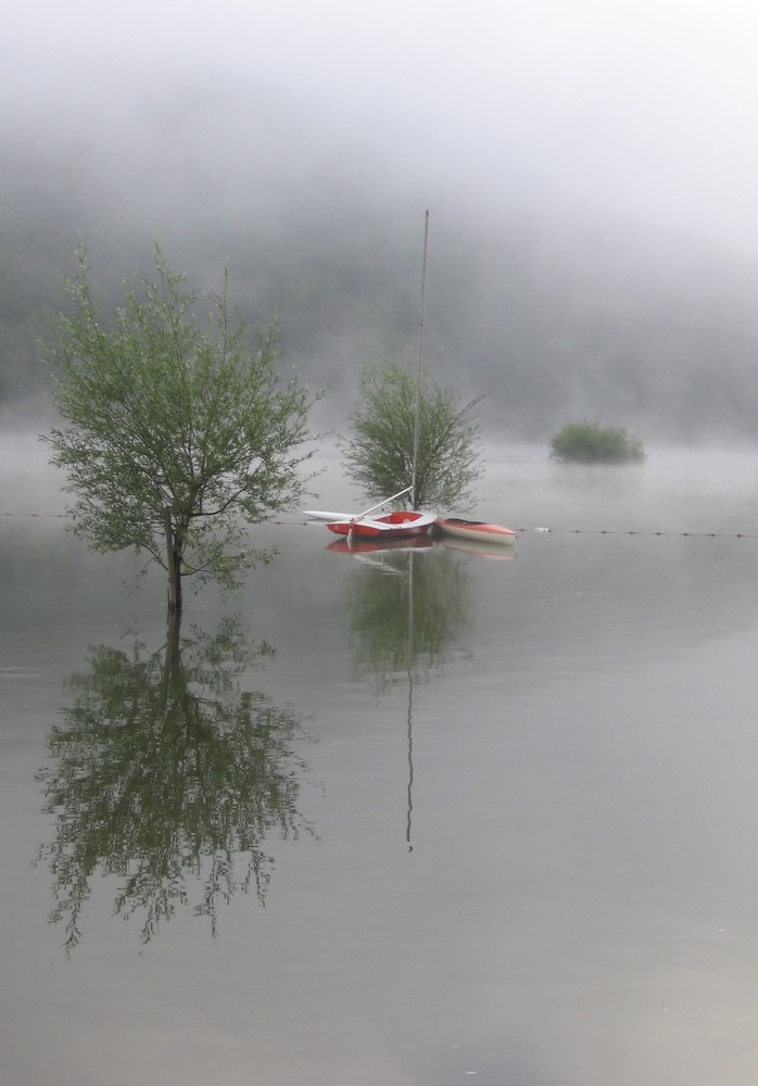 Morgennebel am Edersee