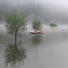 Morgennebel am Edersee