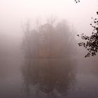 Morgennebel am Fasaneriesee in Aschaffenburg