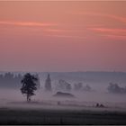 Morgennebel am Federseegebiet