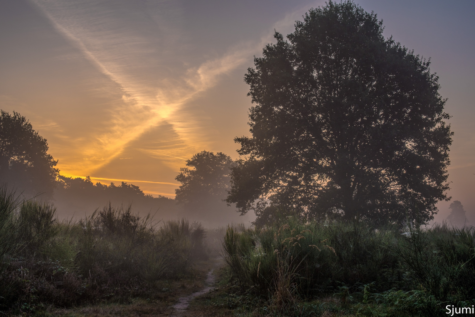 Morgennebel am Fliegenberg