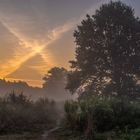 Morgennebel am Fliegenberg