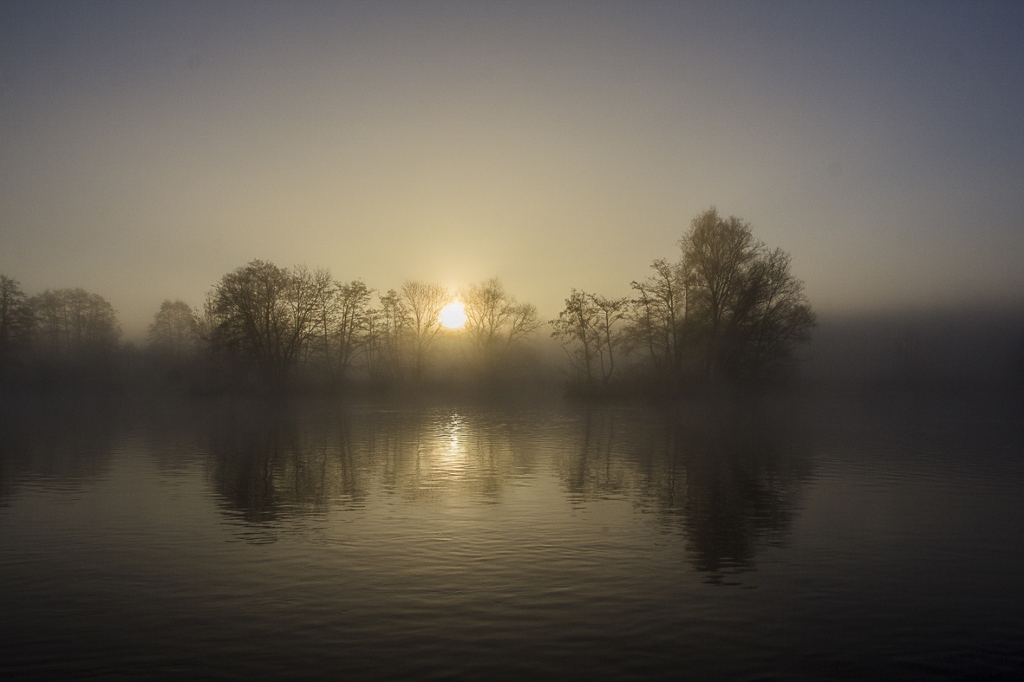 Morgennebel am Fluß 1