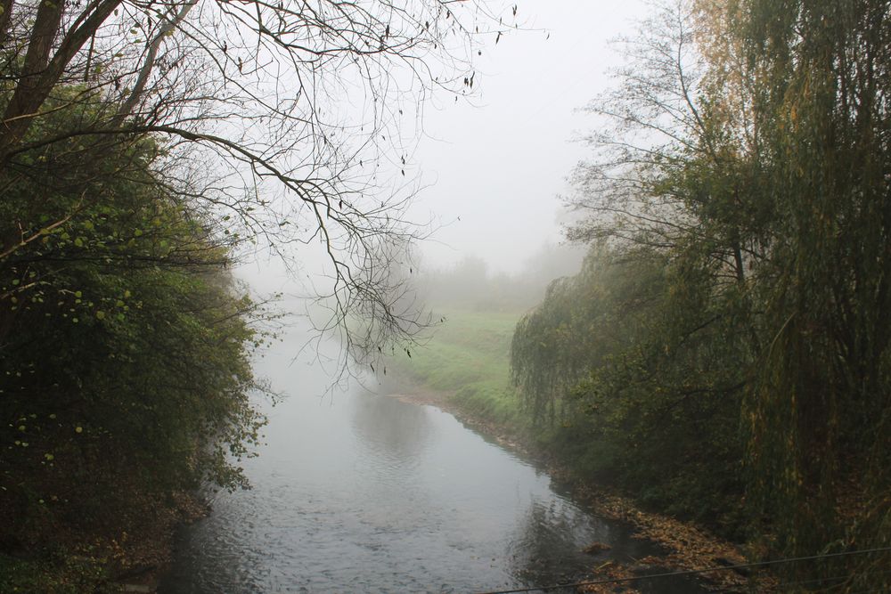 Morgennebel am Fluß