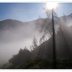 Morgennebel am Funtensee