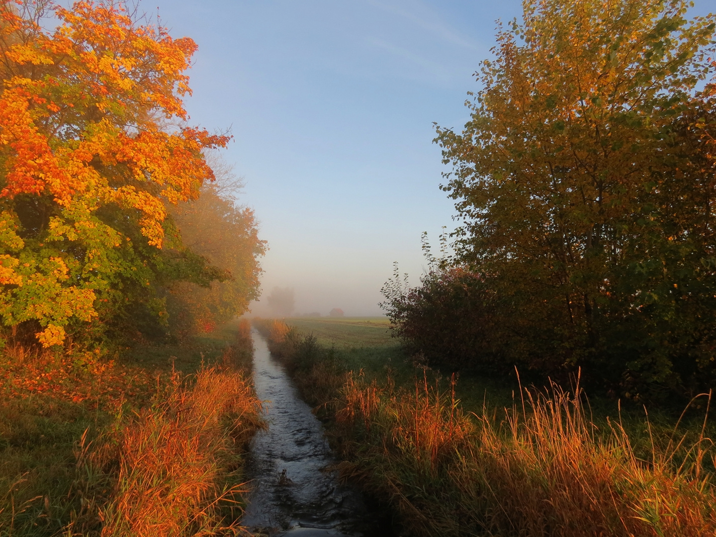 Morgennebel am Gennacher Schwarzbach